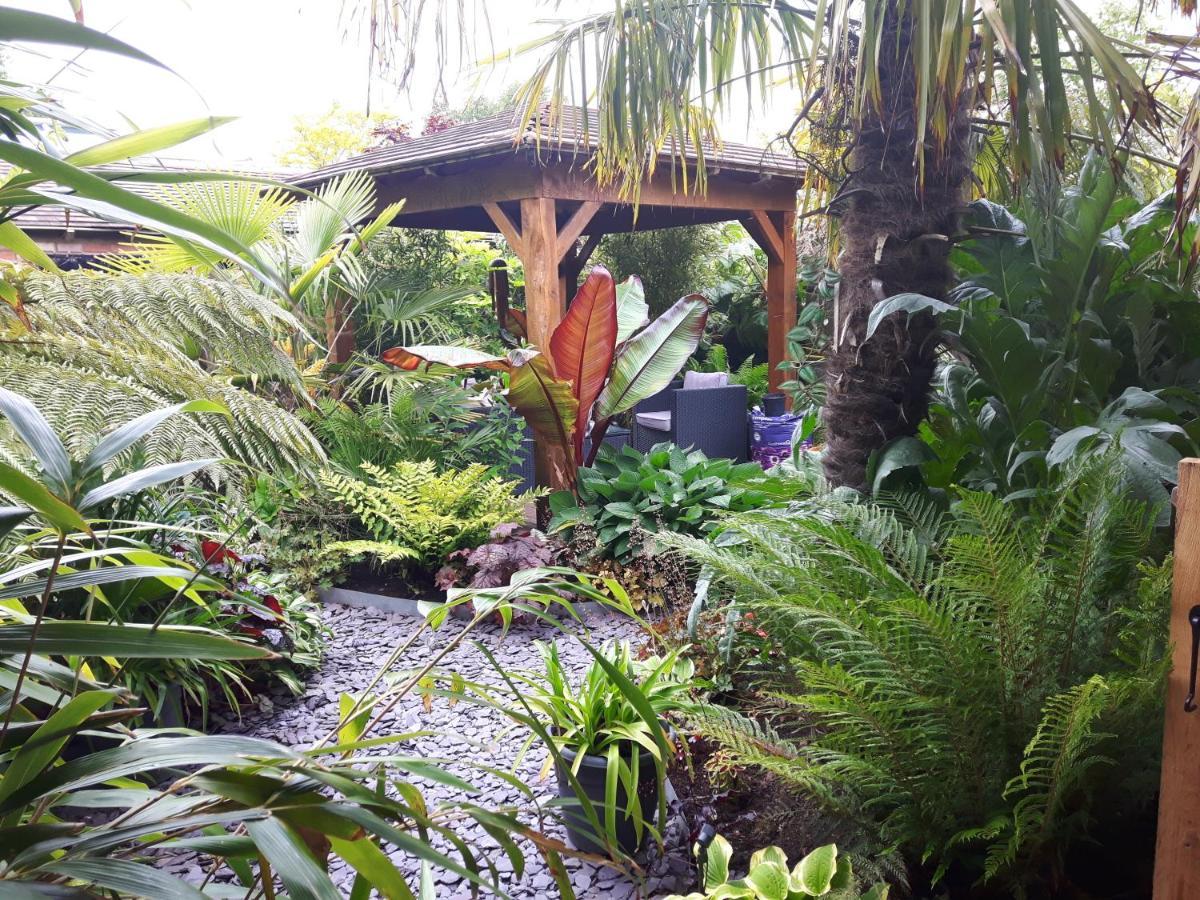 Cabin Set In A Beautiful Romantic Tropical Garden Σάτον Κόλντφιλντ Εξωτερικό φωτογραφία